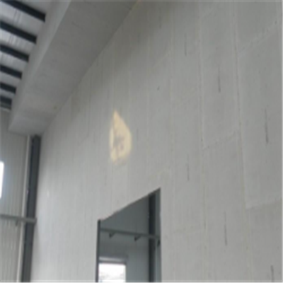 金寨宁波ALC板|EPS加气板隔墙与混凝土整浇联接的实验研讨